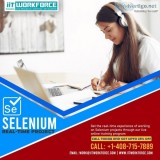 Selenium Real-time Project Workshop experience by iiT Workforce