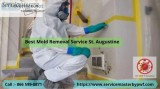Best Mold Removal Service St. Augustine