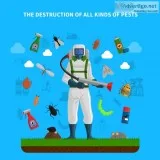 Pest Control Services in Pune