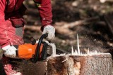 Stump Removal Adelaide  Tree and Stump Removal Specialists