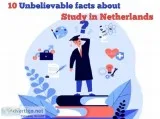10 UNBELIEVABLE FACTS ABOUT STUDY IN NETHERLAND