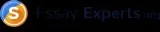 Essay experts
