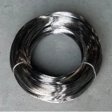 Stainless Steel 317317L Wires