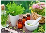Multi-specialty Homeopathic Online Clinic