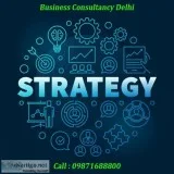 Business Consultancy Delhi