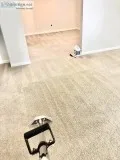 Carpet Cleaning - Pet Odor Removal