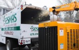 tree service alpharetta