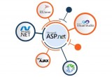 An Award-Winning ASP.NET Web Development Company