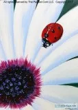 IN STUDIO CLASS  Folsom Studio 616 Lady Bug  SUMMER SPECIAL  10 