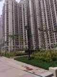 DLF has stylishly created Capital Greens - premium residential a