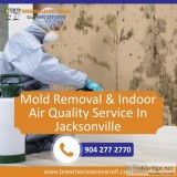 Mold Cleaning Service In JacksonvilleFlorida