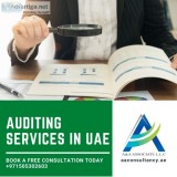 We provide auditing services in the uae