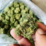 Sour Blackberry