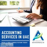 Accounting services