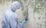 Get the Best  Mold Removal and Remediation Services in Marietta