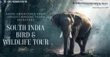 south india birding tours
