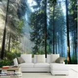 Creative Wall Designs