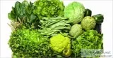 San Diego Farmers Outlet &ndash The Name you can Lean on