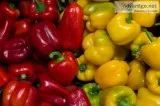 Visit the Best Vegetable Grocery Store of San Diego