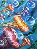 Folsom Family Room 724 Jellyfish Dance  SUMMER SPECIAL  ONLY 25 