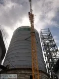 Tower crane