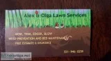 Alex and Olga Lawn Services