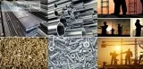 Building and Construction Materials