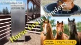 Where Can I Find the Best Slow Hay Feeder for Horses