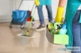 Avail Weekly Cleaning Services