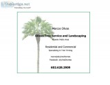 Tree Trimming and Landscaping
