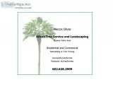 Tree Trimming and Landscaping