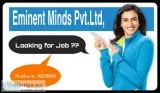 SK is Hiring for Work From Data entry