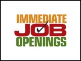Requirement for field executive / delivery executive