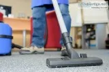 Searching for Professional Rug Cleaning Services in Los Angeles