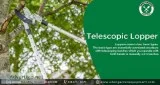 Telescopic Lopper in the Eden Garden At Eden Garden Equipment
