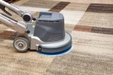 Looking for experienced and professional carpet cleaners