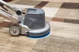 Looking for experienced and professional carpet cleaners