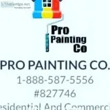 Pro Painting  Co