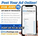 www.bluepostings.com