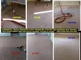 Carpet and Upholstery Cleaning  RepairsCARPET WISERSpecials