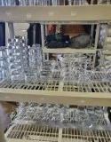 Glasses all types