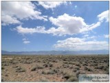 35.59 Acre Lot in central Colorado