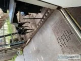 Dog needs a good home