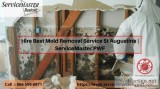 Hire Best Mold Removal Service St Augustine  ServiceMaster PWF