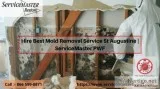 Hire Best Mold Removal Service St Augustine  ServiceMaster PWF