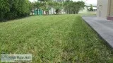 Professional Lawn Service
