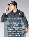 D&gtRAM SECURITY (Security Guard School)