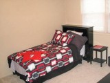 1br - Beautiful and Spacious 1BR1BA Apartment