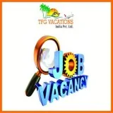 Work for a Travel Website for Few Hours