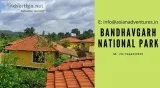 hotels and resorts in bandhavgarh tiger reserve